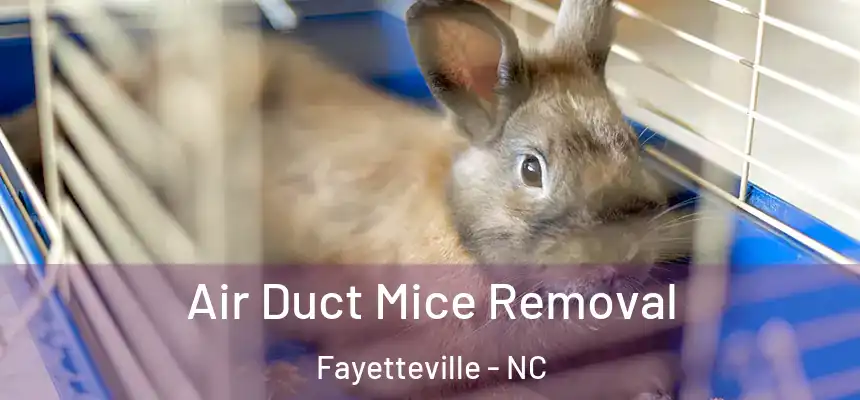  Air Duct Mice Removal Fayetteville - NC