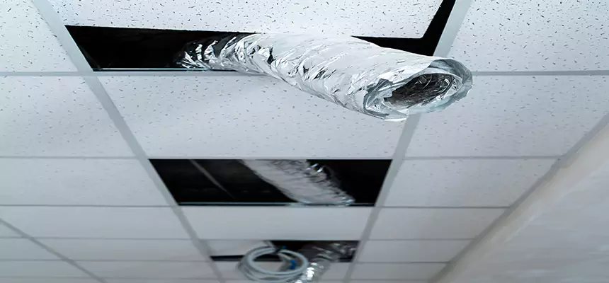 Our Air Duct Pet Hair Removal Services in Fayetteville, NC