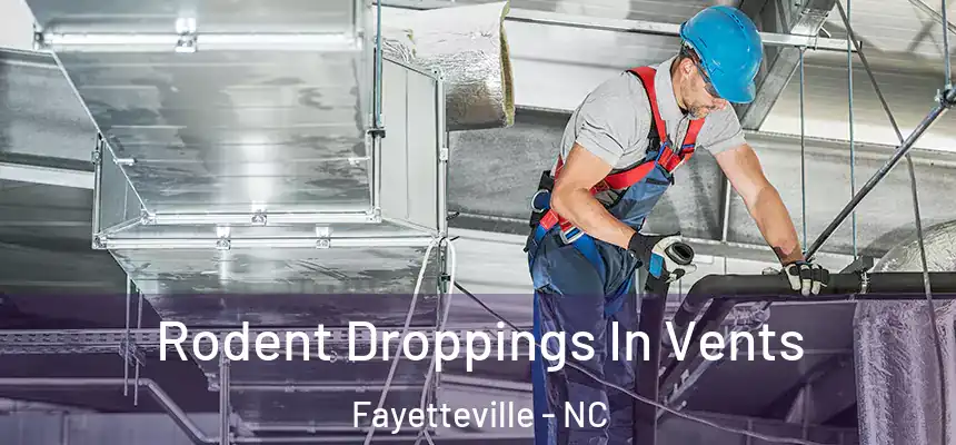  Rodent Droppings In Vents Fayetteville - NC