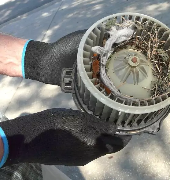 About Air Duct Mice Removal in Fayetteville, NC