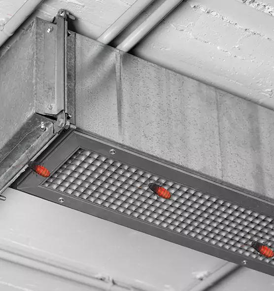 Affordable Insect Removal from Air Ducts in Fayetteville, NC