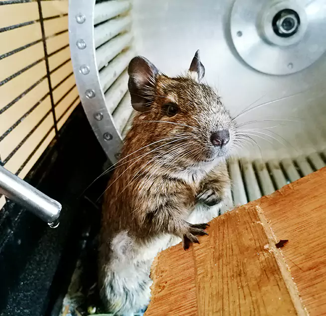 Why Homeowners & Businesses Trust Us Fayetteville, NC?