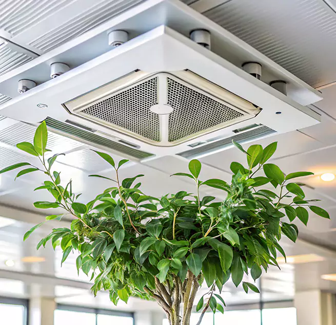 Why Homeowners & Businesses Trust Us in Fayetteville, NC